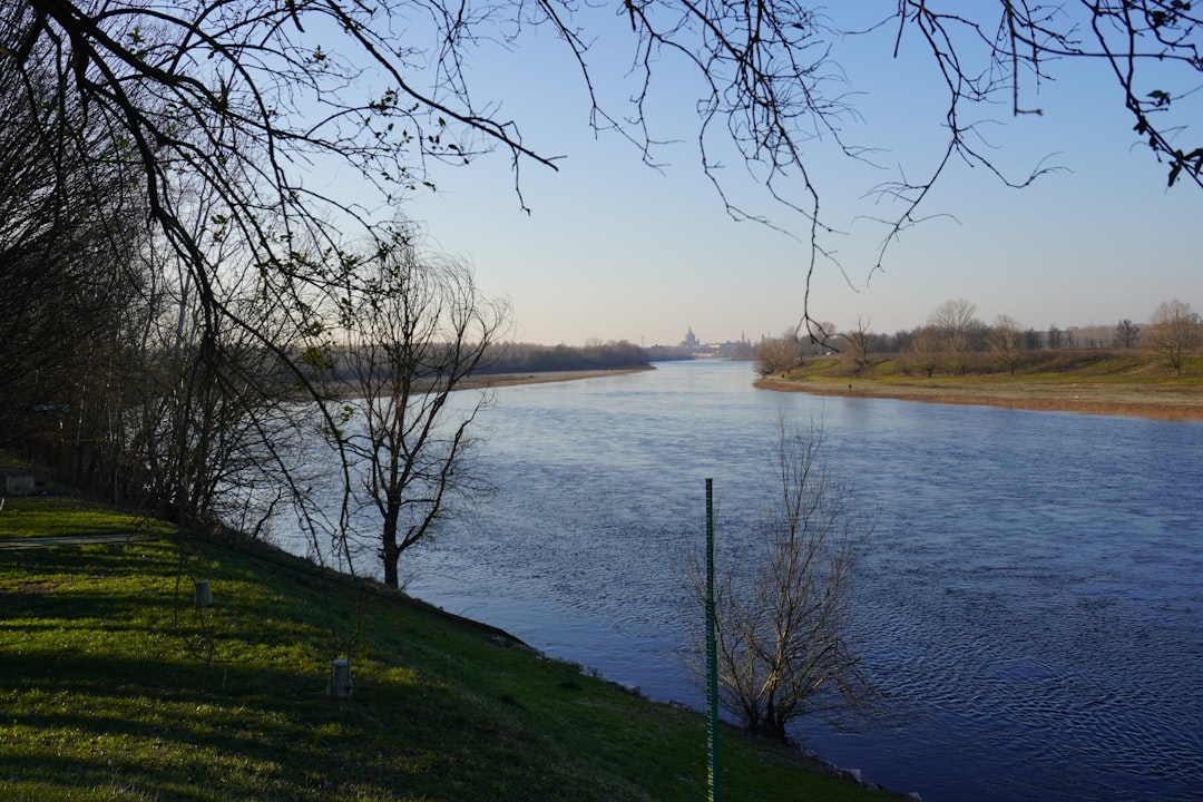 a body of water surrounded by trees and grass