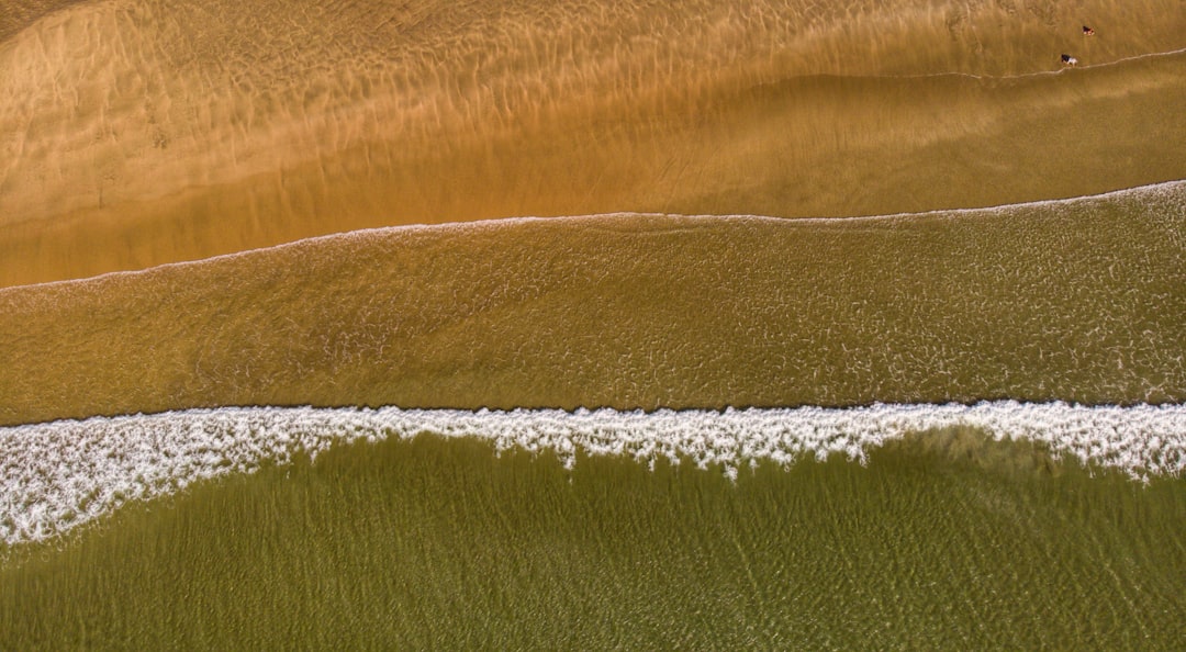 a bird's eye view of a beach and ocean