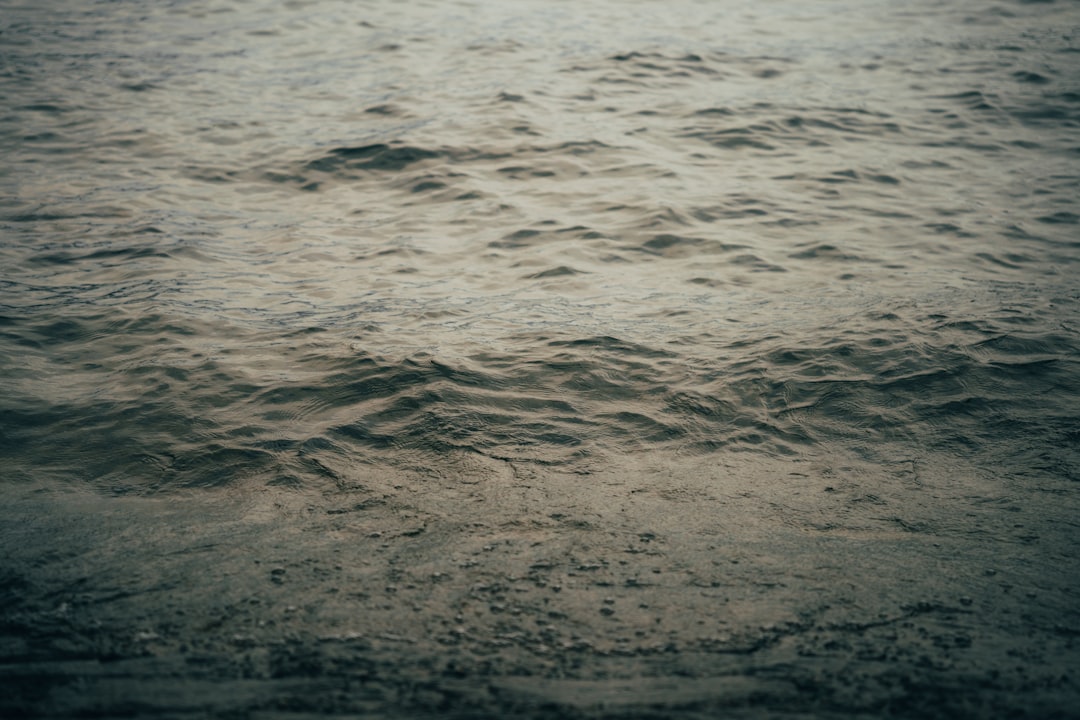 a body of water that is very close to the shore
