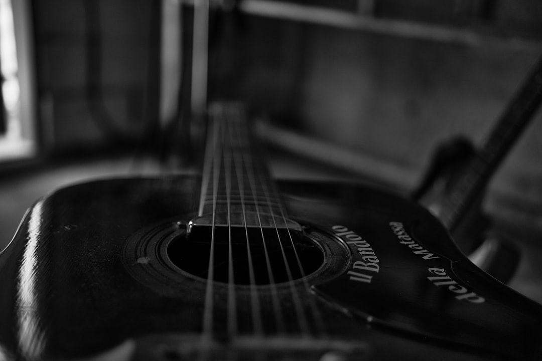 a black and white photo of a guitar