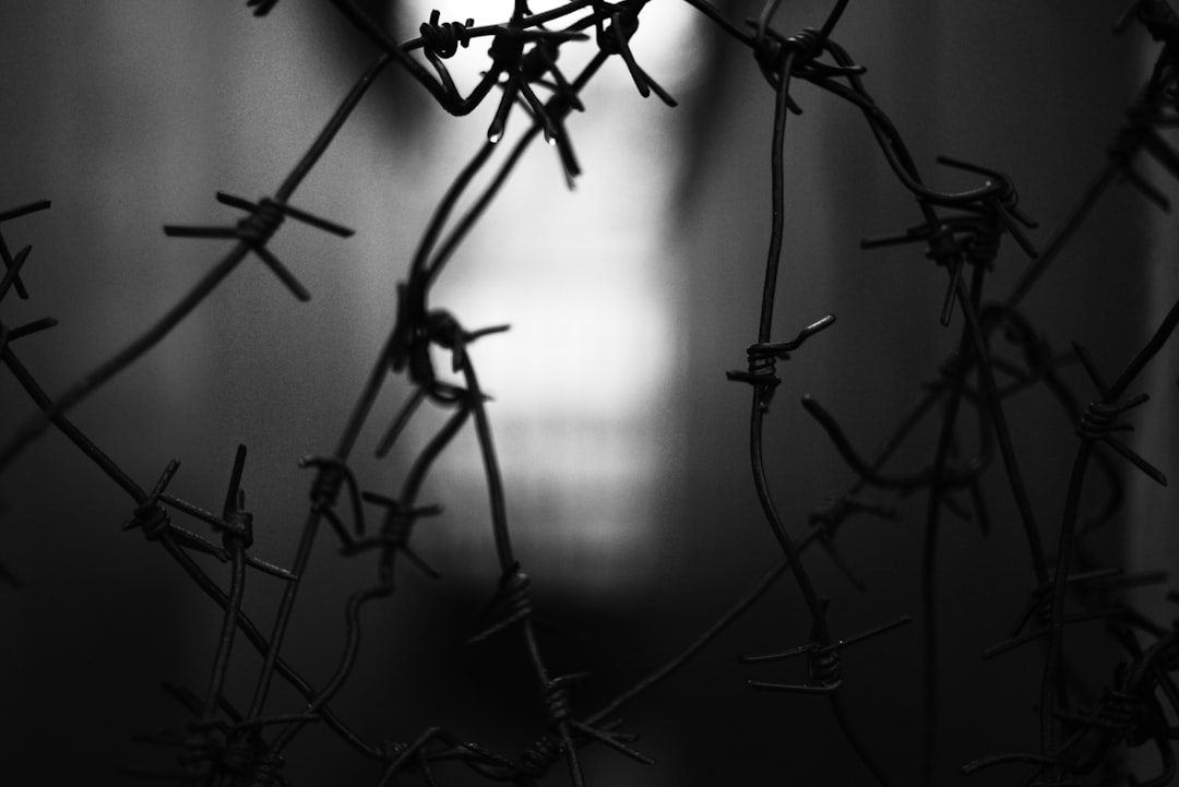 Barbed wire obstructs the bright light.