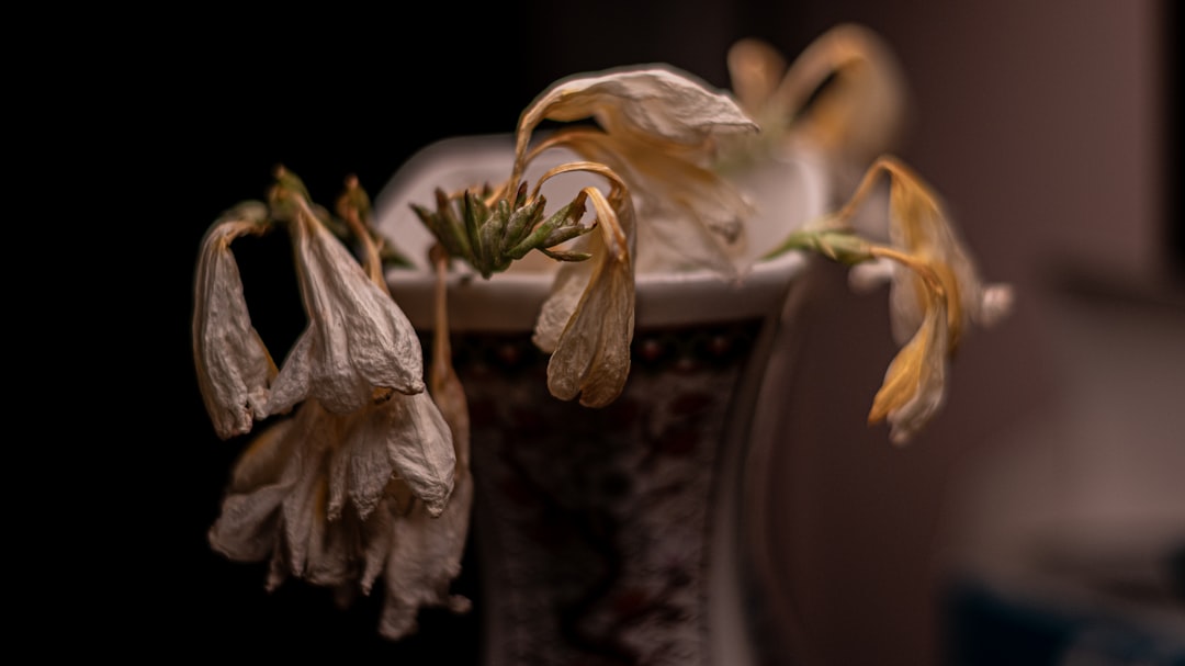 Wilted flowers droop inside a vase.